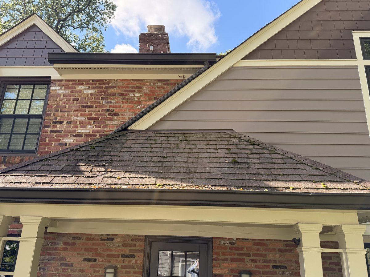 Roof before soft washing