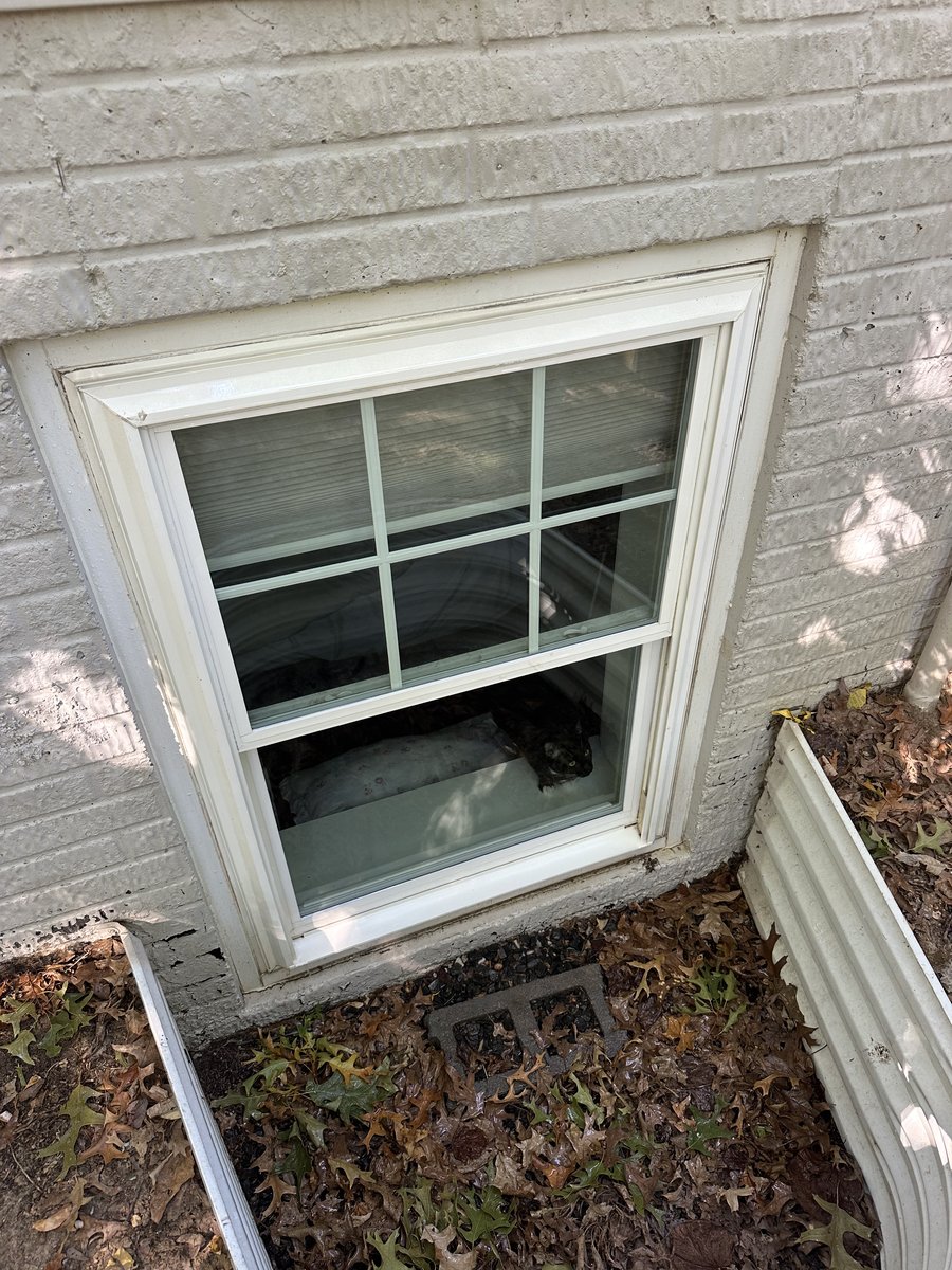 Egress window after cleaning